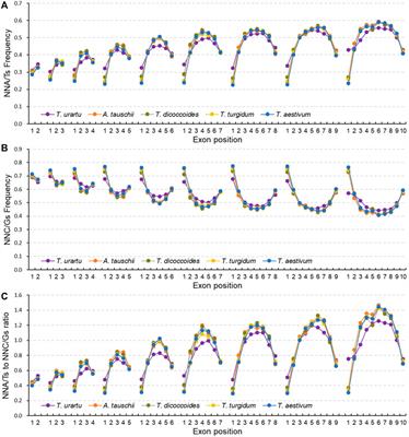 Alteration of synonymous codon usage bias accompanies polyploidization in wheat